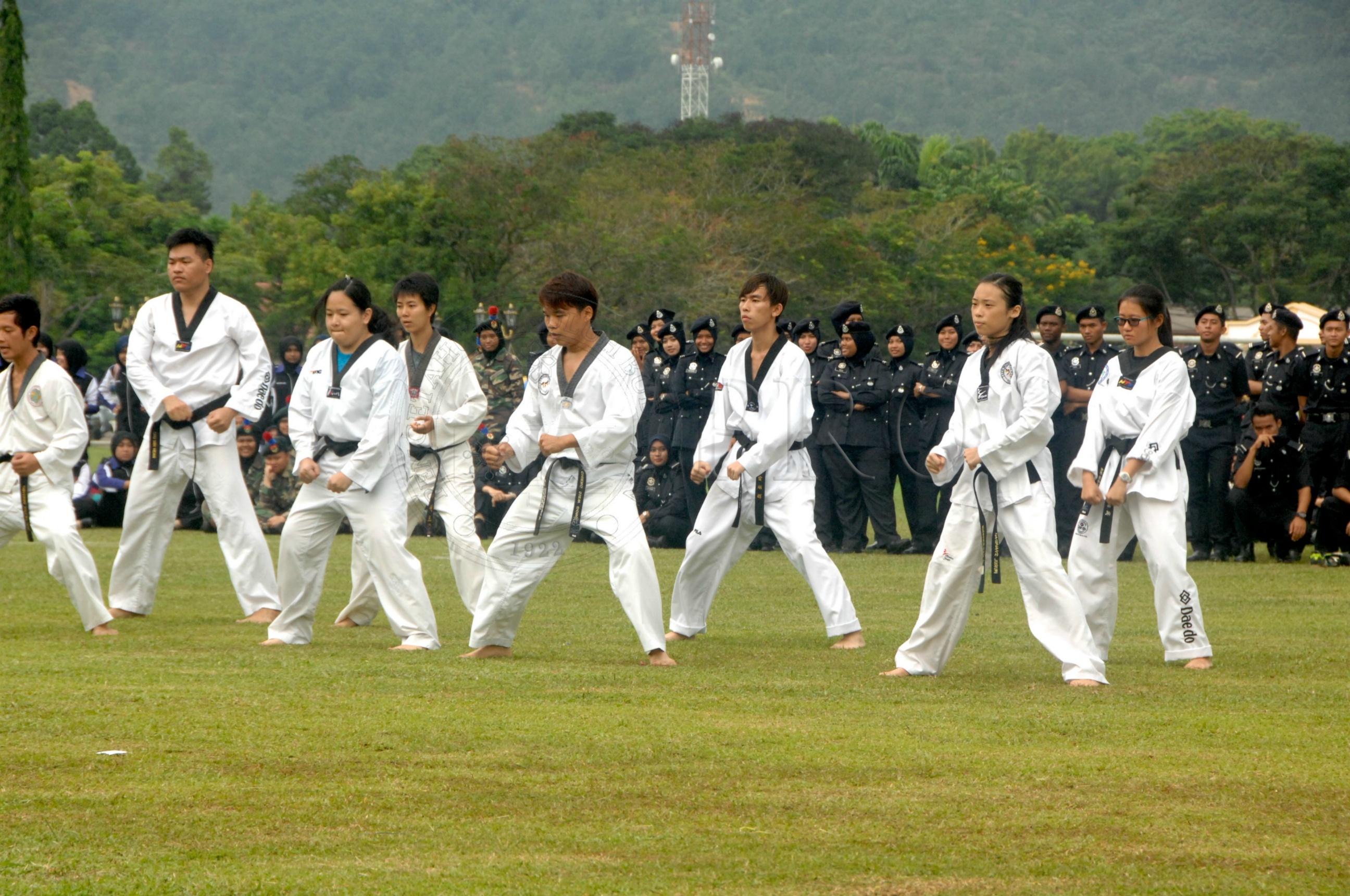 PRO 14 43 KKO IDA 0989